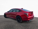 New 2026 Cadillac CT5 Sport w/ LPO, ONYX Package image 4