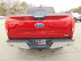 Used 2019 Ford F150 XLT w/ Equipment Group 302A Luxury image 4