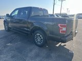 Used 2019 Ford F150 XLT w/ Equipment Group 302A Luxury image 4