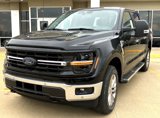New 2025 Ford F150 XLT w/ Equipment Group 303A High image 2