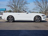 Used 2023 Ford Mustang Premium image 3