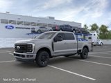 New 2025 Ford F250 Platinum image 2