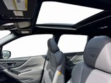 New 2025 Subaru Forester Wilderness image 4