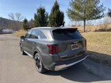 New 2025 Kia Sorento EX w/ EX Panoramic Sunroof Package image 3