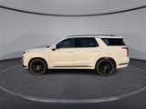 New 2025 Hyundai Palisade Calligraphy image 5