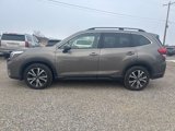 Used 2020 Subaru Forester Limited image 3