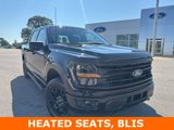 New 2025 Ford F150 XLT image 3