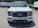 Certified 2023 Ford F150 XLT w/ Equipment Group 302A High image 5