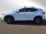 New 2026 Lexus NX 350 AWD w/ Premium Package image 6