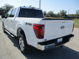 New 2025 Ford F150 XLT image 5