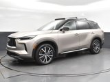 New 2025 INFINITI QX60 Autograph w/ Cargo Package image 3