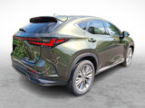 New 2025 Lexus NX 350 AWD w/ Luxury Package image 4