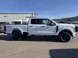 New 2025 Ford F250 XL image 2