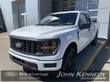 Certified 2025 Ford F150 STX image 3