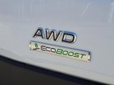 New 2025 Ford Transit 250 148 Medium Roof Extended AWD image 6