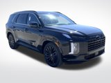 New 2025 Hyundai Palisade Calligraphy image 3