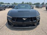 Certified 2024 Ford Mustang GT image 2