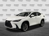 New 2026 Lexus NX 350h AWD w/ Premium Package image 3