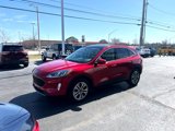 Used 2021 Ford Escape SEL image 2