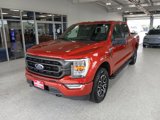 Certified 2023 Ford F150 XLT w/ Equipment Group 302A High image 4