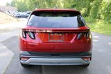 Used 2025 Hyundai Tucson Limited image 4