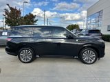 New 2025 INFINITI QX80 Sensory image 2