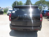 New 2025 Ford Expedition Active image 5