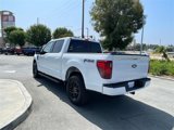 New 2025 Ford F150 XLT image 5