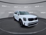 New 2025 Kia Telluride EX image 3