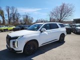 New 2025 Hyundai Palisade Calligraphy image 3