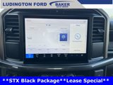 New 2025 Ford F150 STX w/ Equipment Group 201A FX4 image 4