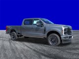 New 2025 Ford F250 Platinum image 2