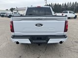 New 2025 Ford F150 XLT w/ Equipment Group 302A MID image 4