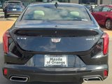Used 2024 Cadillac CT4 Premium Luxury w/ Climate Package image 5