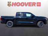 New 2025 Toyota Tundra Platinum image 2
