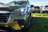 New 2025 Subaru Ascent Bronze Edition image 3