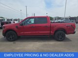 New 2025 Ford F150 STX image 2