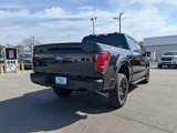 New 2025 Ford F150 XLT image 4