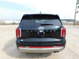 New 2025 Hyundai Palisade Calligraphy image 6