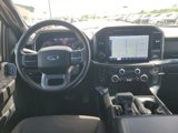 Used 2023 Ford F150 XLT w/ Equipment Group 302A High image 3