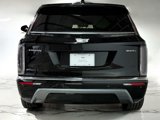 New 2026 Cadillac Vistiq Luxury image 4