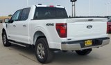 New 2024 Ford F150 XLT w/ Equipment Group 302A MID image 6
