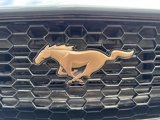Certified 2024 Ford Mustang GT Premium image 5