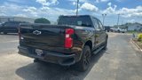 Used 2023 Chevrolet Silverado 1500 Custom w/ LPO, Dark Essentials Package image 6