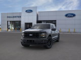New 2025 Ford F150 XLT w/ Equipment Group 303A High image 2