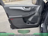 New 2025 Ford Escape Platinum image 6