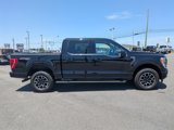 Used 2023 Ford F150 XLT w/ Equipment Group 302A High image 3