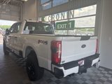 New 2025 Ford F250 XL image 4
