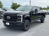 New 2025 Ford F250 Platinum image 5