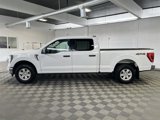 Used 2023 Ford F150 XLT image 4